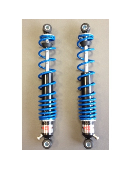 Amortisseurs BETOR 340 Gaz 