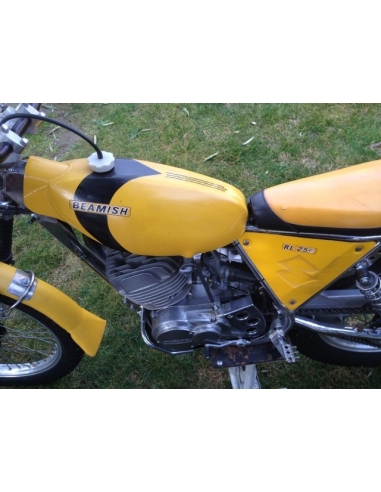 Suzuki Beamish 250