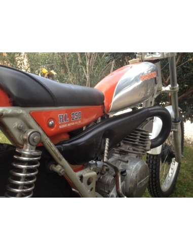 Suzuki 250 RL Exacta
