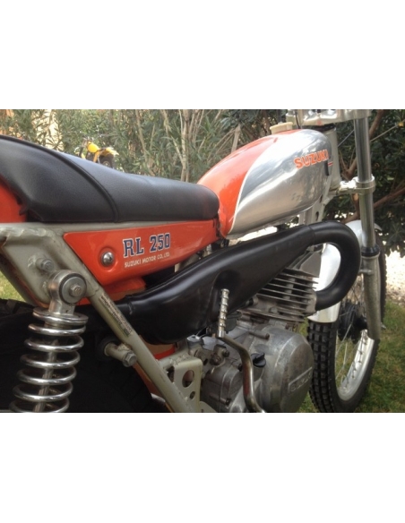 Suzuki 250 RL Exacta
