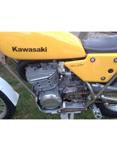 Kawasaki 250 KT Bob Golner