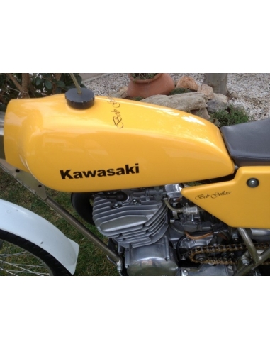 Kawasaki 250 KT Bob Golner