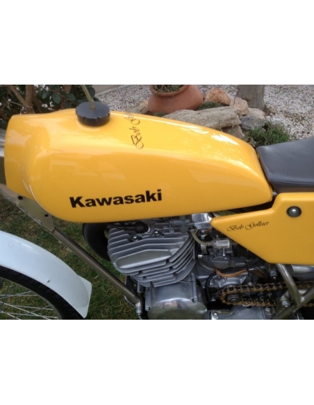 Kawasaki 250 KT Bob Golner