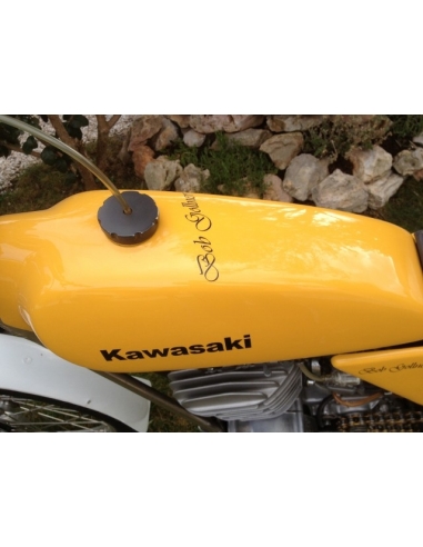 Kawasaki 250 KT Bob Golner