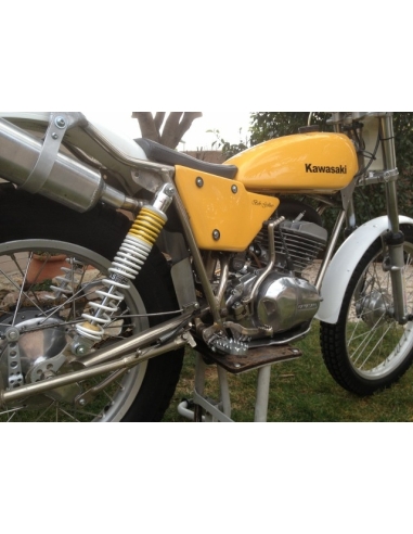 Kawasaki 250 KT Bob Golner