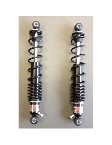 Amortisseurs BETOR 400 Gaz 