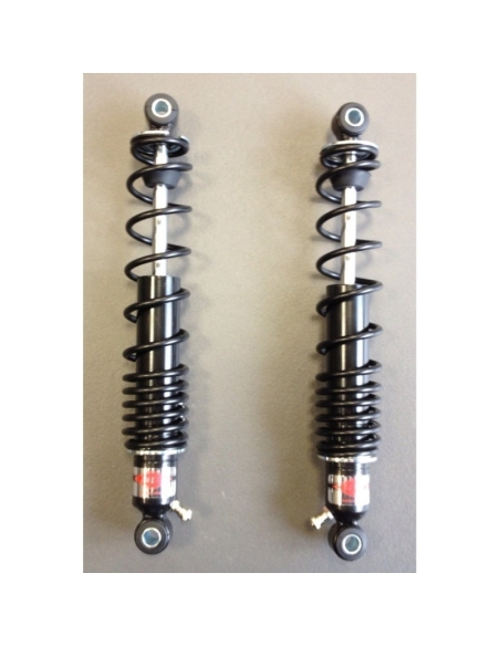 Amortisseurs BETOR 400 Gaz 