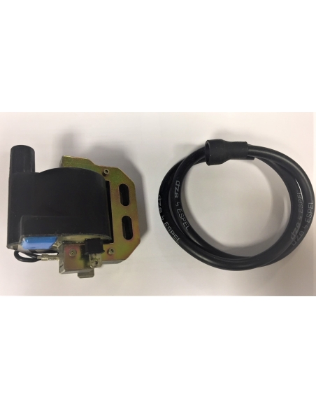 bobine adaptable motoplat électronique