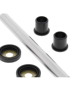 kit reparation bras oscillant TLR 125/200