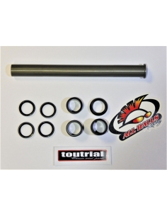 Kit réparation de bras oscillant ALL BALLS Gas Gas txt 98-03