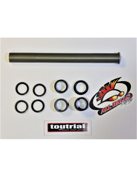 Kit réparation de bras oscillant ALL BALLS Gas Gas txt 98-03
