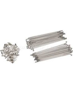 Jante AR Tubeless 36 rayons