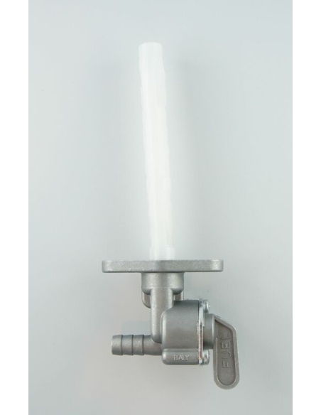 Roninet essence gauche