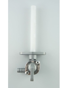 Roninet essence gauche