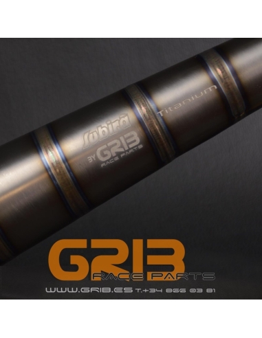 Sinecieux WES Fantic 240 alu